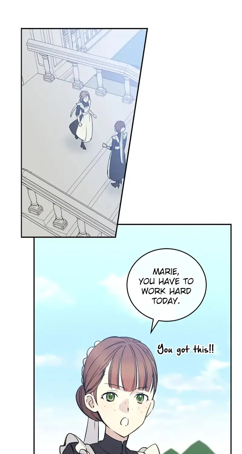 Read A Capable Maid chapter 2 image 19 on Lezhin