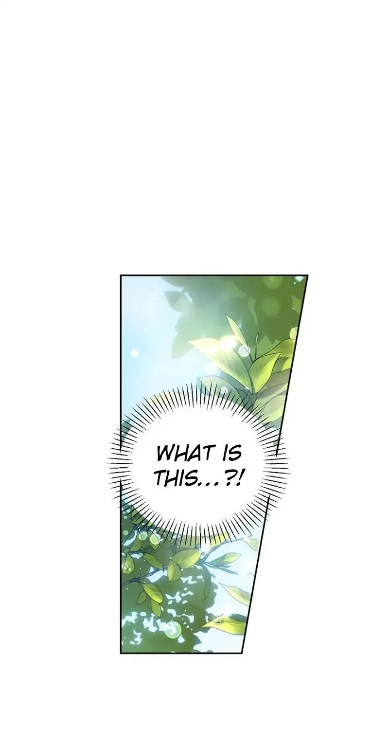 Read A Capable Maid chapter 4 image 59 on Lezhin