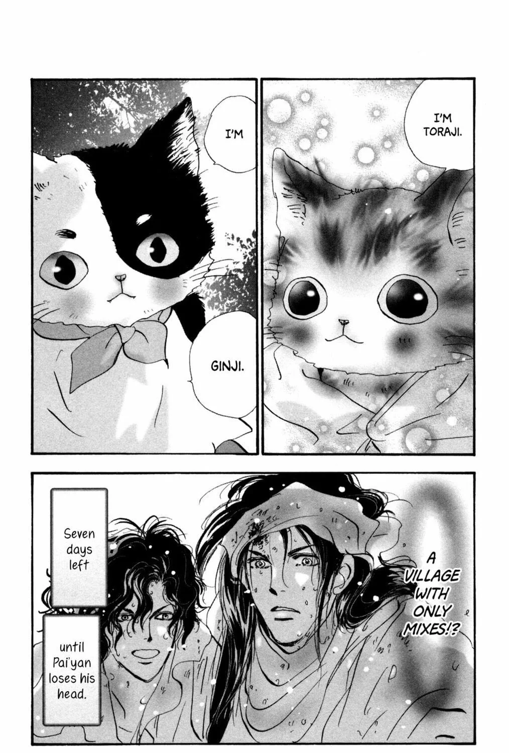 Read A Cat Mix