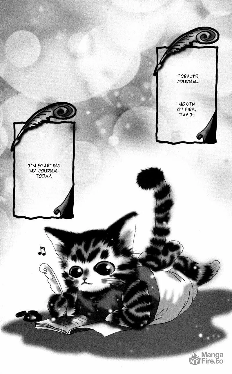 Read A Cat Mix