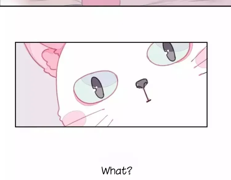 A Cat's World Chapter 1 page 11 - 