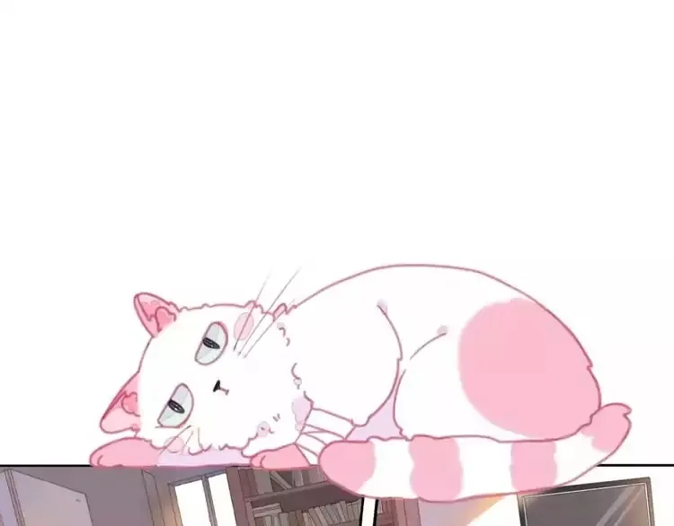 A Cat's World Chapter 1 page 12 - 