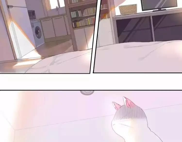 A Cat's World Chapter 1 page 13 - 