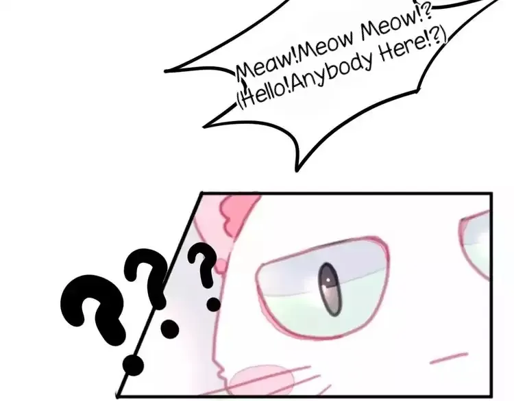 A Cat's World Chapter 1 page 15 - 