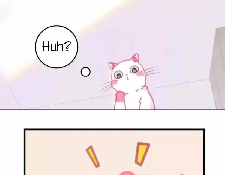 A Cat's World Chapter 1 page 17 - 