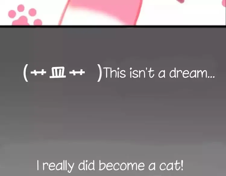 A Cat's World Chapter 1 page 27 - 