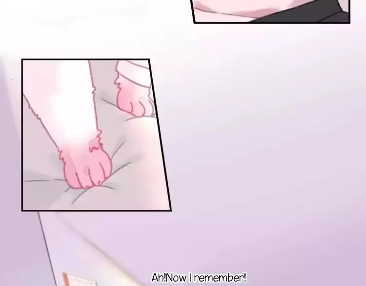 A Cat's World Chapter 1 page 33 - 