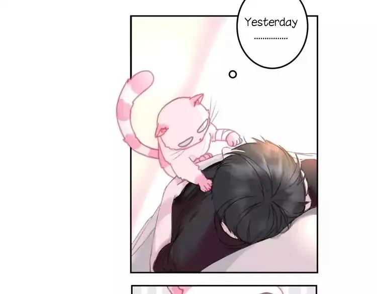 A Cat's World Chapter 1 page 35 - 