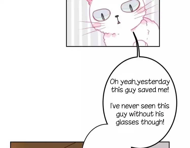 A Cat's World Chapter 1 page 36 - 