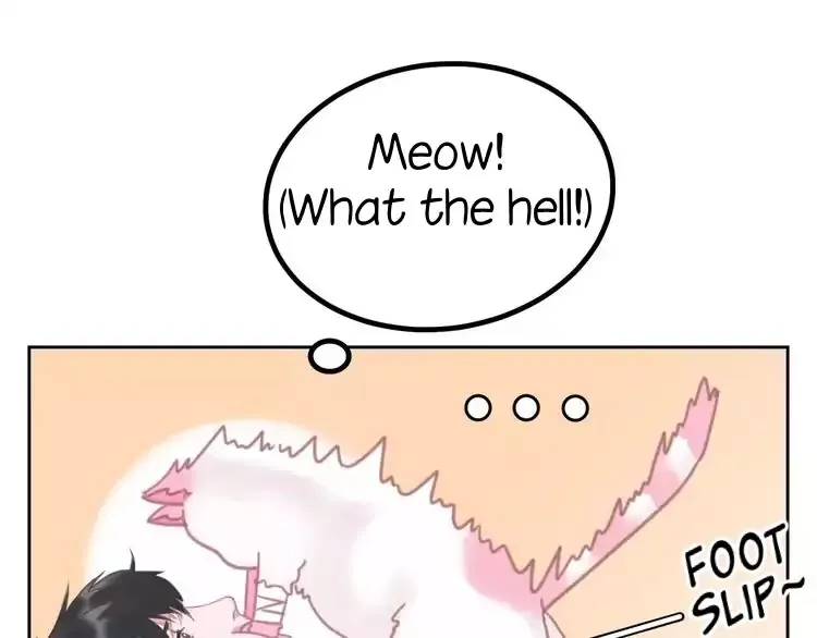 A Cat's World Chapter 1 page 40 - 