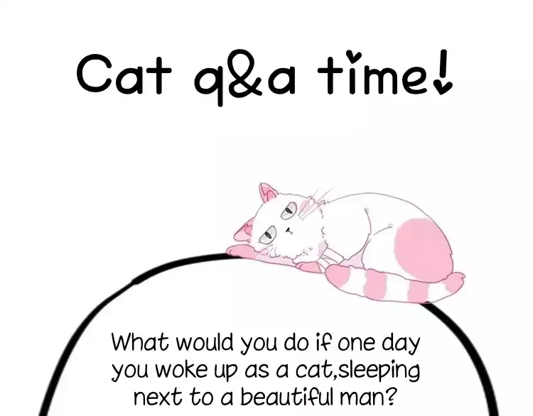 A Cat's World Chapter 1 page 80 - 