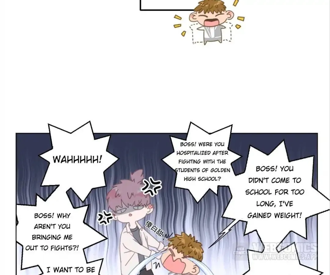 A Cat's World Chapter 10 page 14 - 