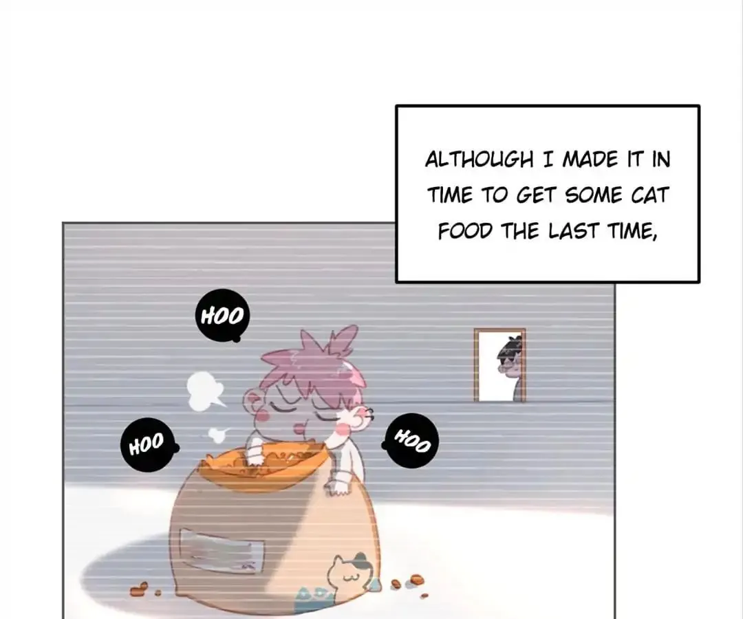 A Cat's World Chapter 10 page 5 - 