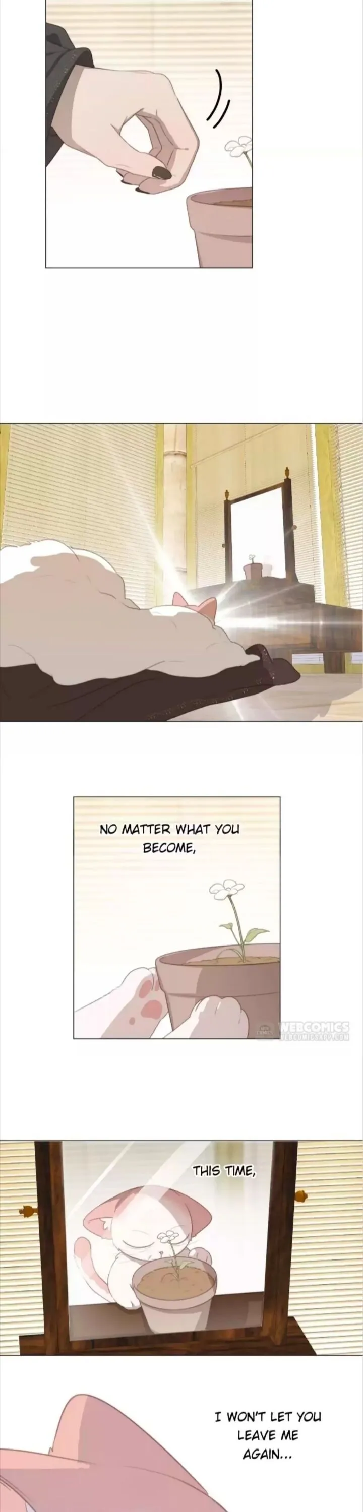 A Cat's World Chapter 109 page 13 - 