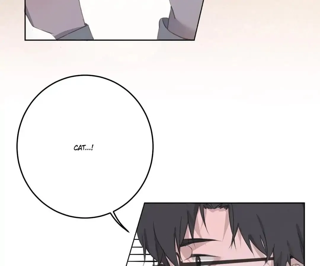 A Cat's World Chapter 11 page 47 - 