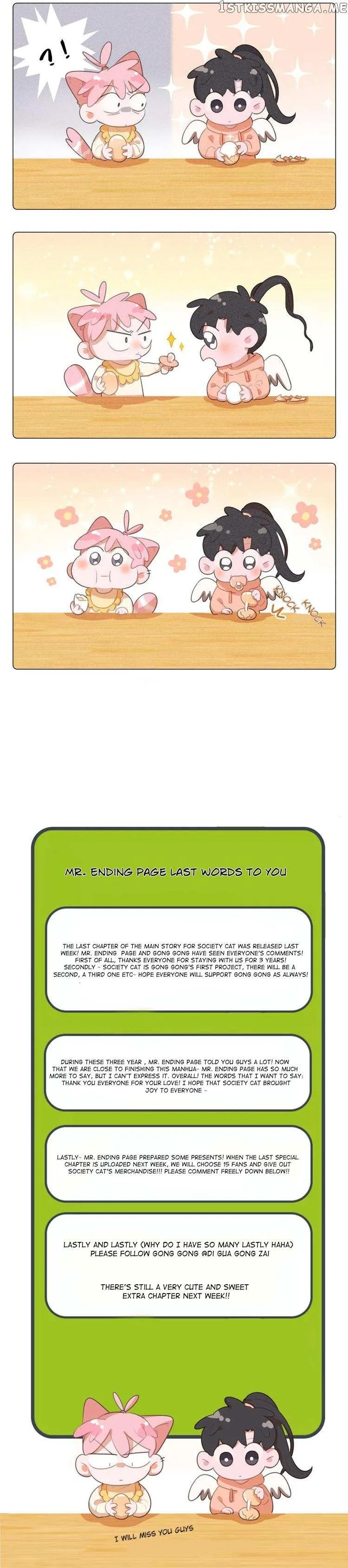 A Cat's World Chapter 112.1 page 8 - 