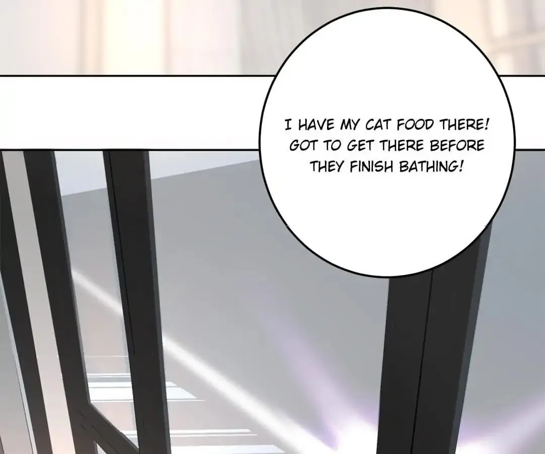 A Cat's World Chapter 12 page 17 - 