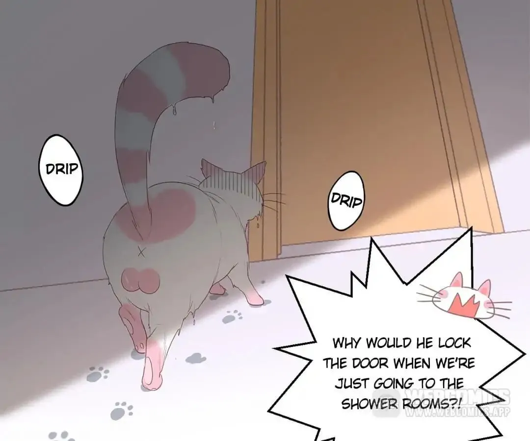 A Cat's World Chapter 12 page 22 - 