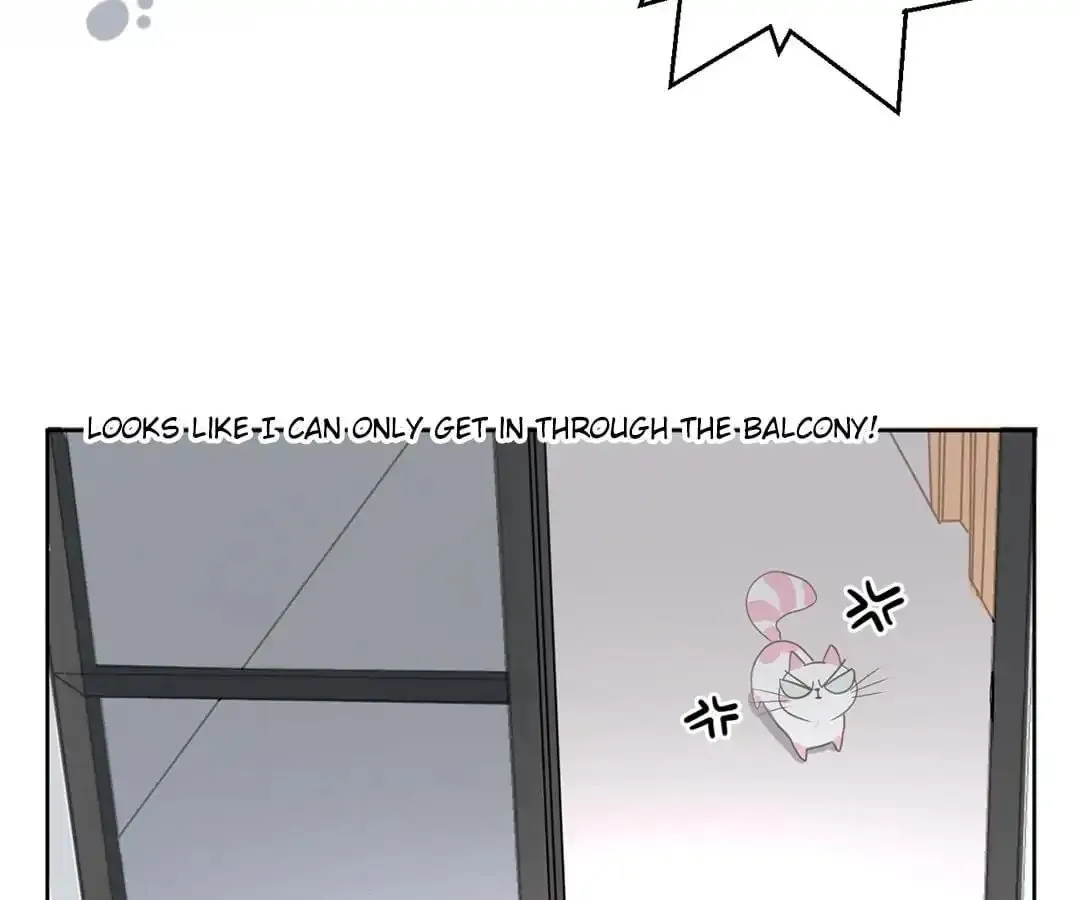 A Cat's World Chapter 12 page 23 - 