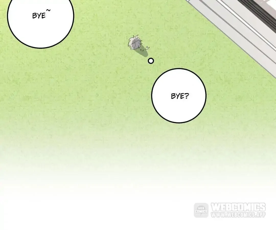 A Cat's World Chapter 12 page 26 - 
