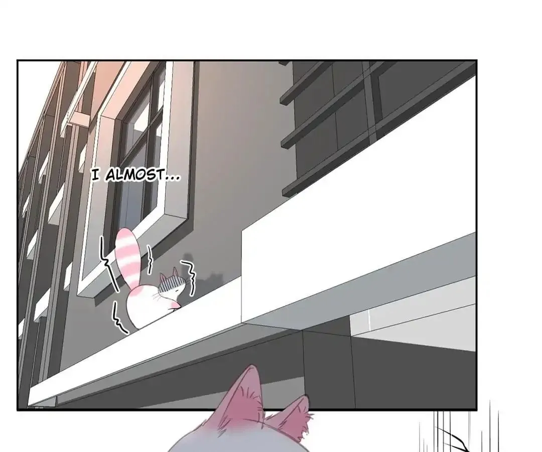 A Cat's World Chapter 12 page 27 - 