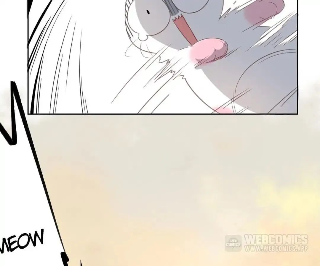 A Cat's World Chapter 12 page 30 - 
