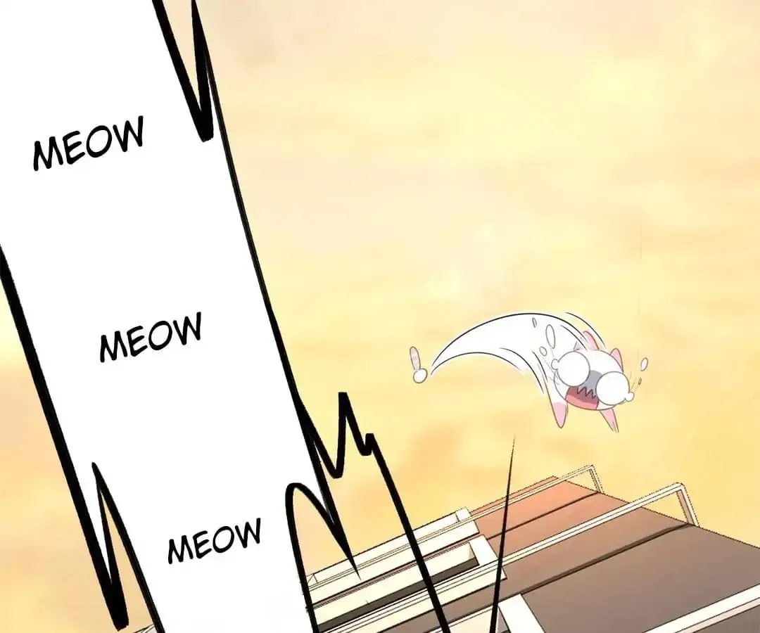 A Cat's World Chapter 12 page 31 - 