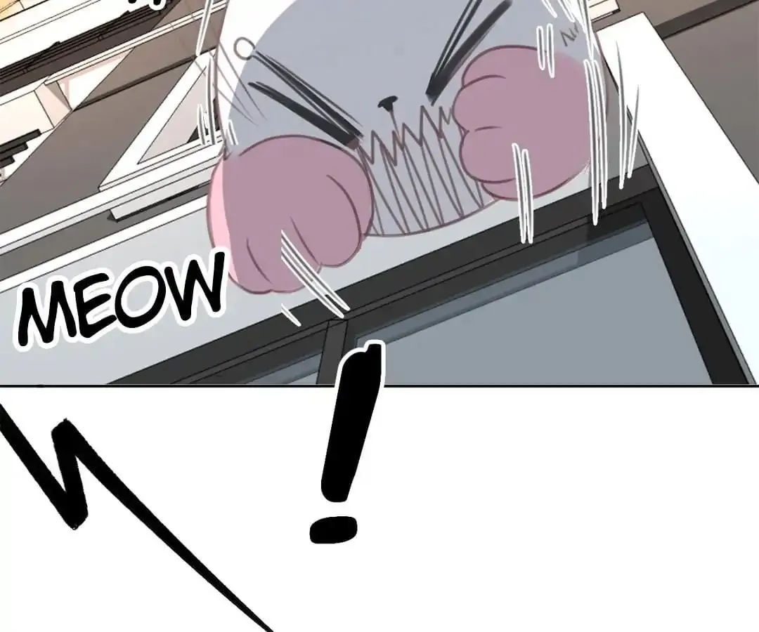 A Cat's World Chapter 12 page 36 - 