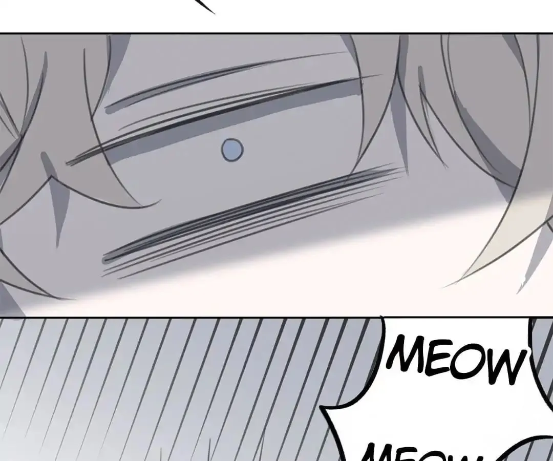 A Cat's World Chapter 12 page 37 - 