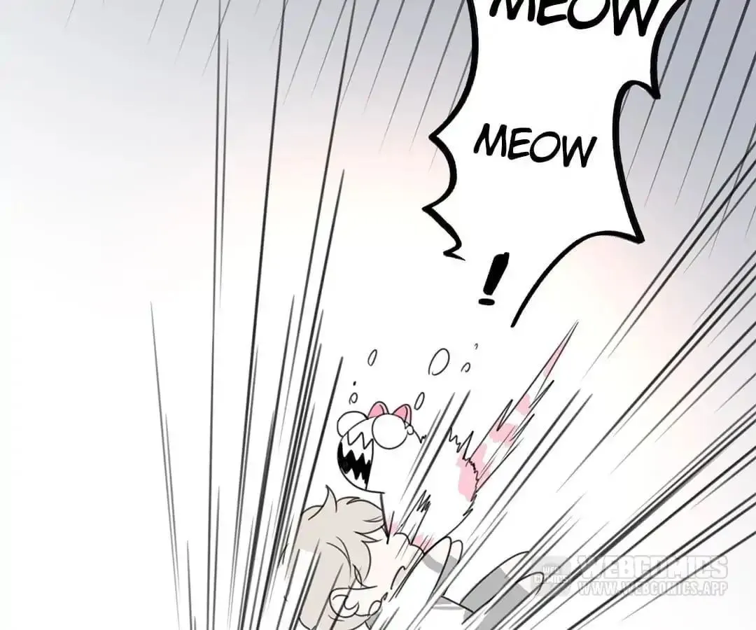 A Cat's World Chapter 12 page 38 - 