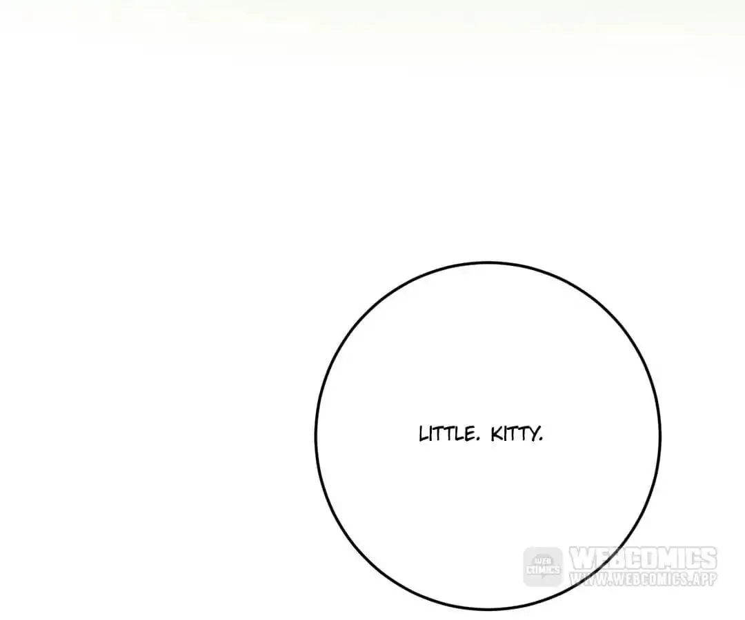 A Cat's World Chapter 12 page 42 - 