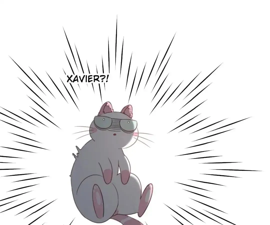 A Cat's World Chapter 12 page 43 - 