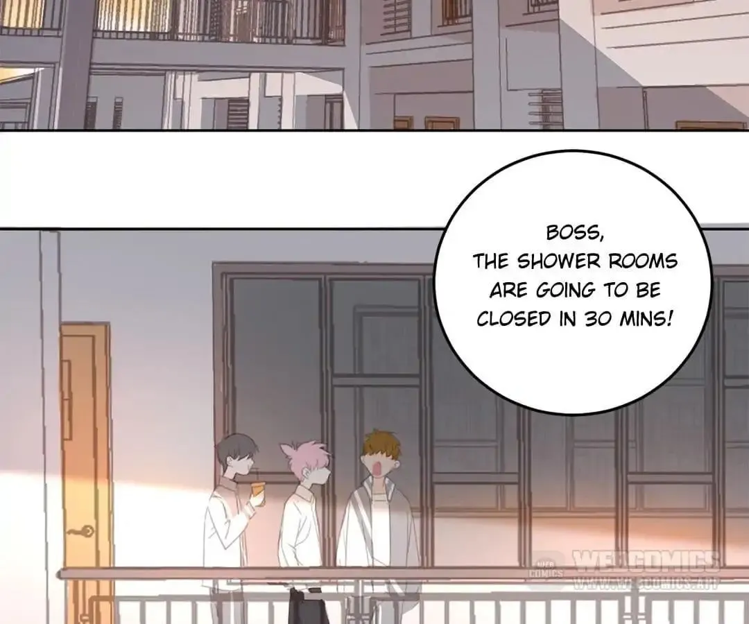 A Cat's World Chapter 12 page 6 - 