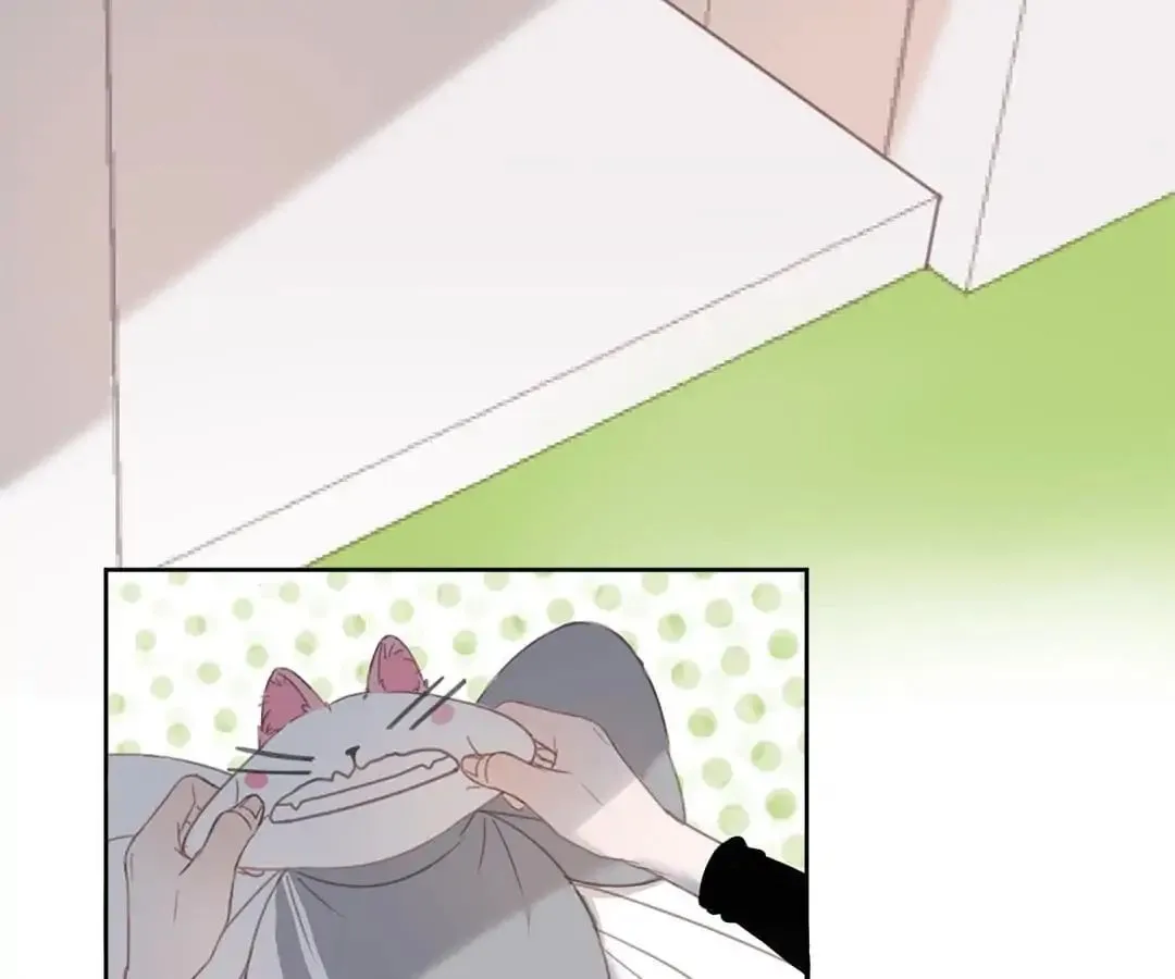 A Cat's World Chapter 12 page 52 - 
