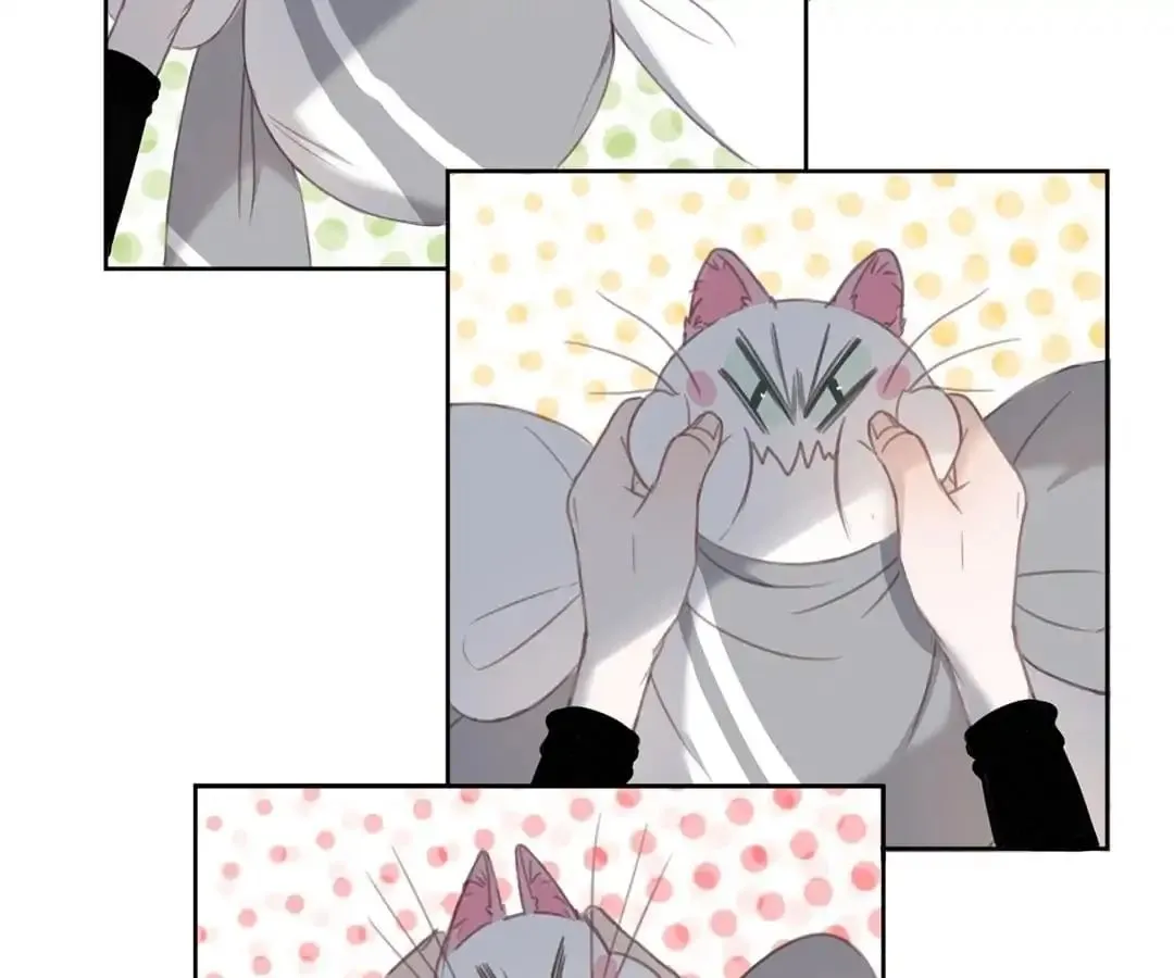 A Cat's World Chapter 12 page 53 - 