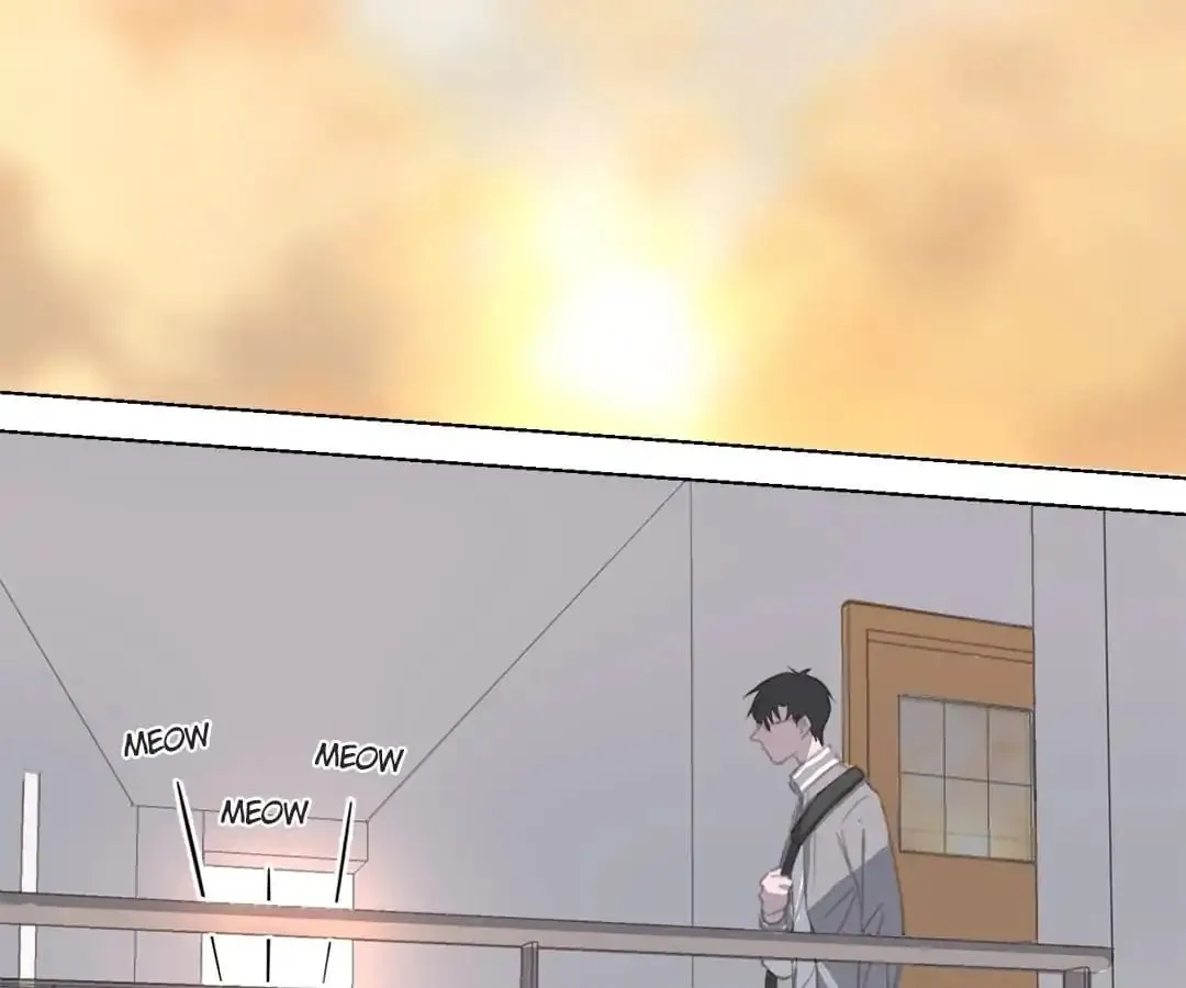 A Cat's World Chapter 12 page 57 - 