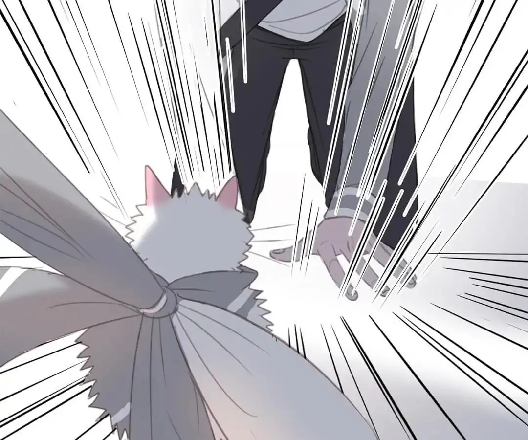 A Cat's World Chapter 12 page 69 - 