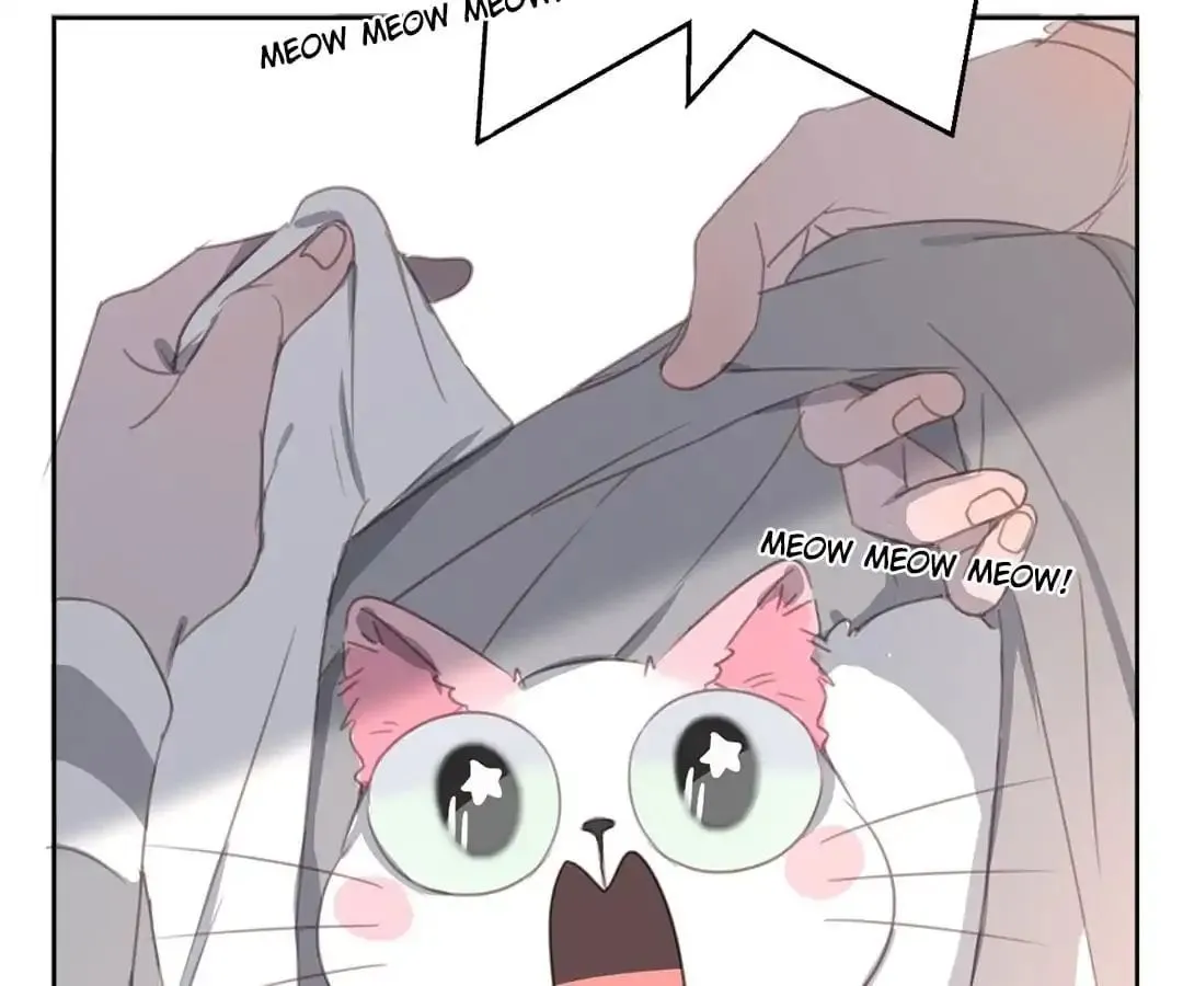 A Cat's World Chapter 12 page 71 - 