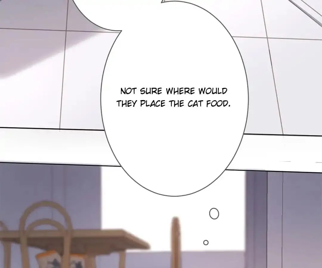 A Cat's World Chapter 13 page 13 - 