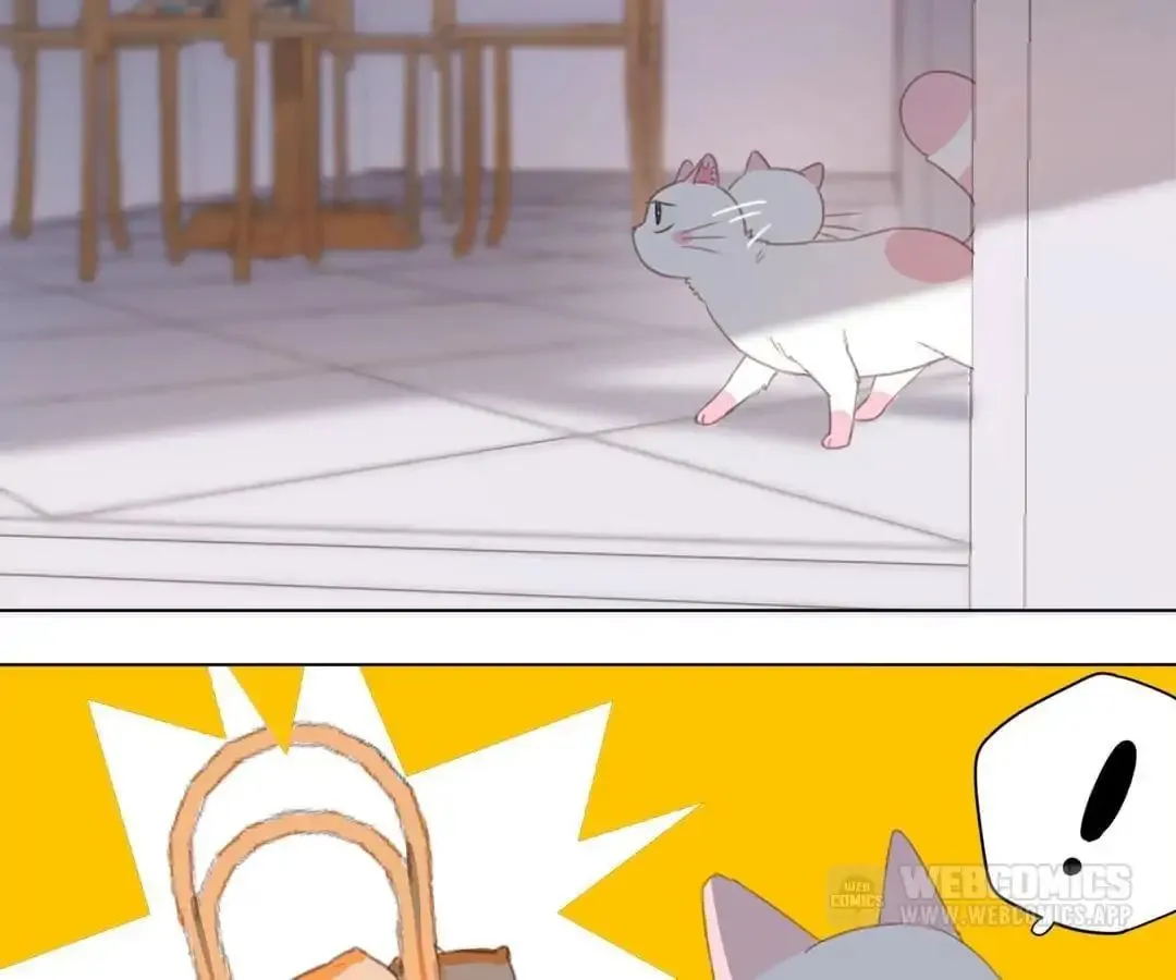 A Cat's World Chapter 13 page 14 - 