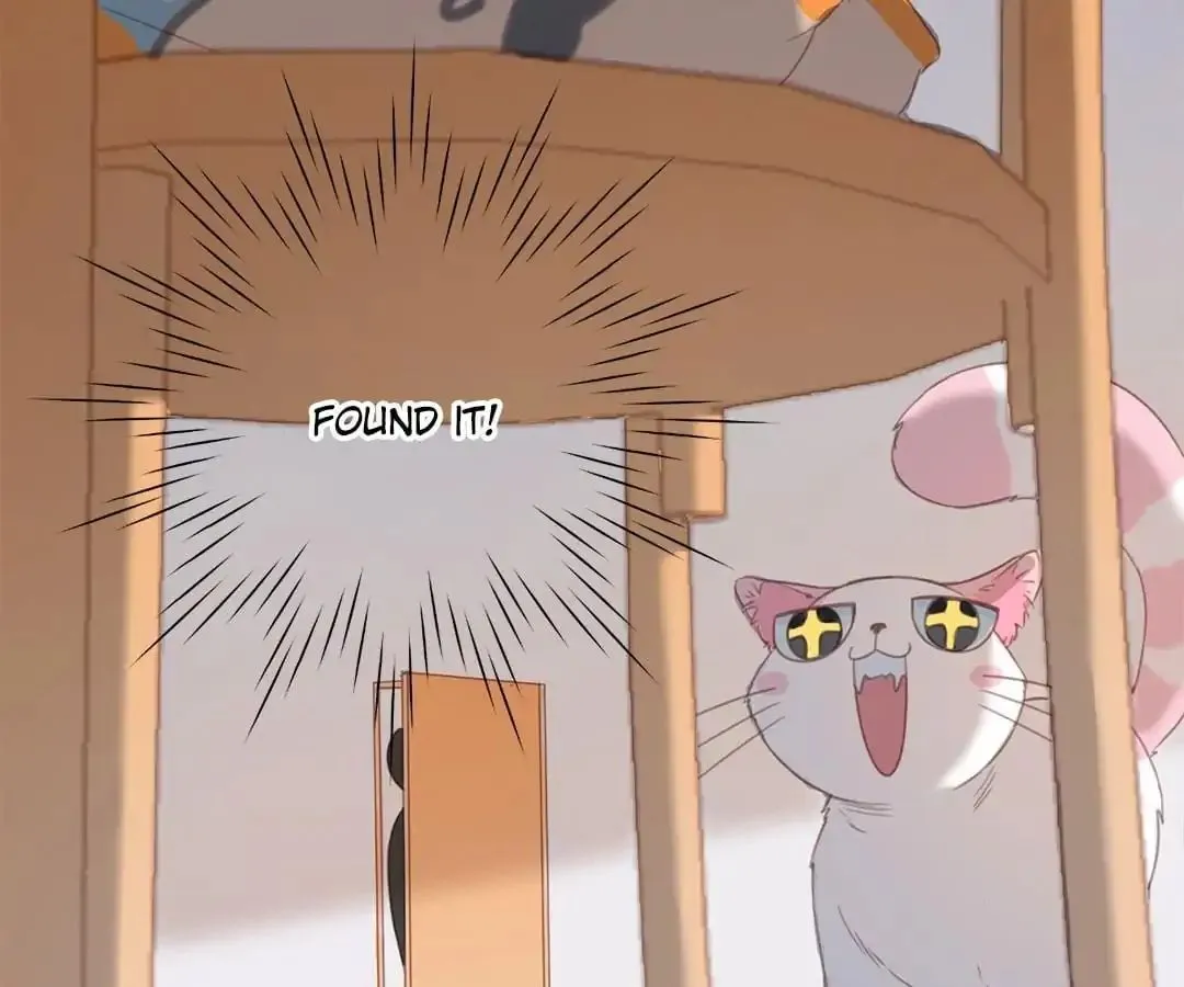 A Cat's World Chapter 13 page 16 - 