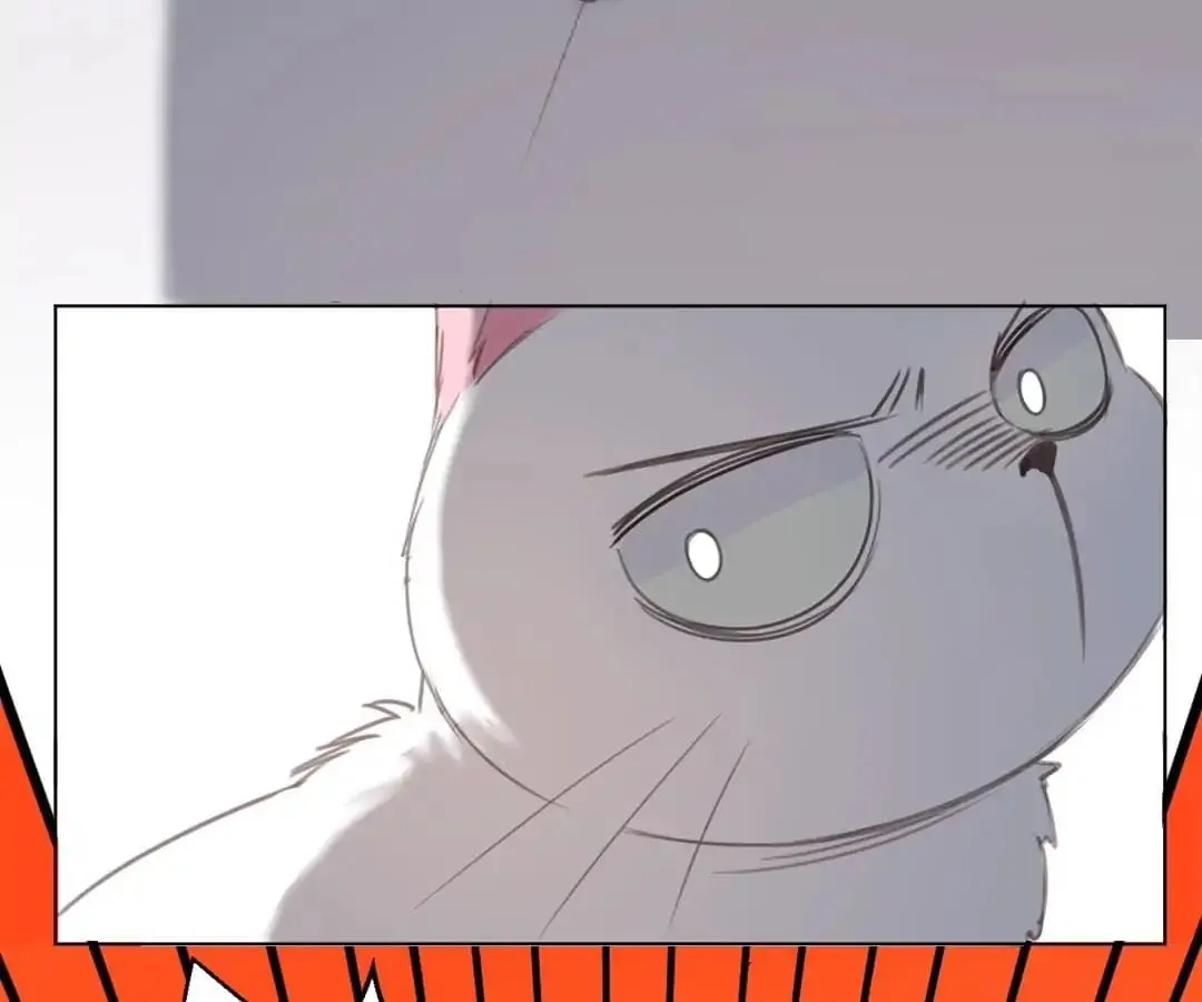 A Cat's World Chapter 13 page 19 - 