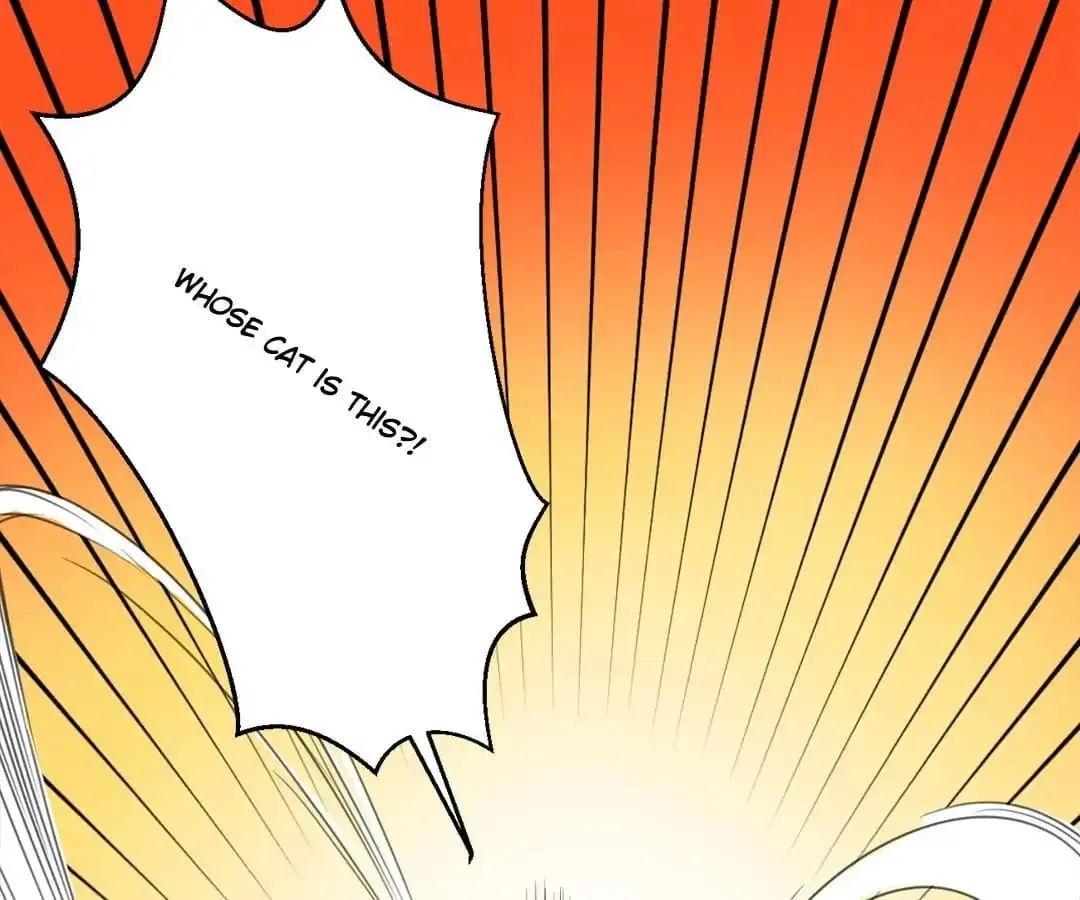 A Cat's World Chapter 13 page 20 - 