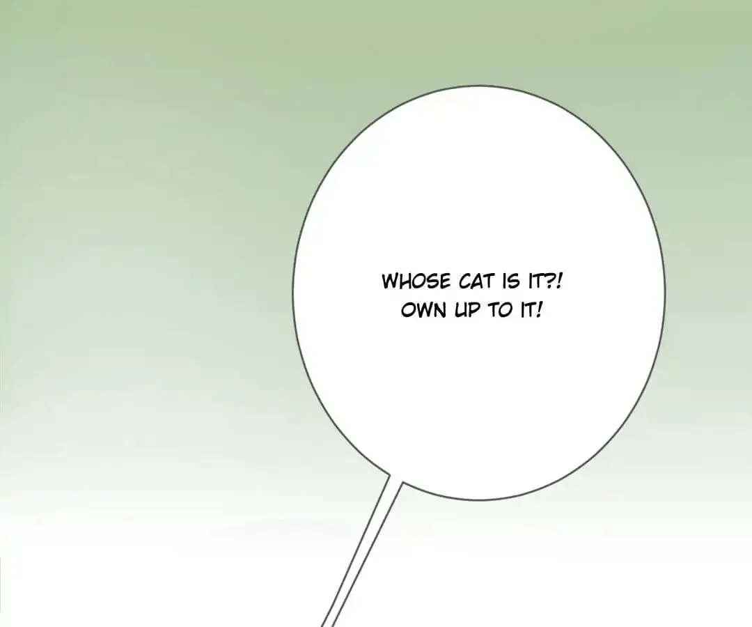 A Cat's World Chapter 13 page 27 - 