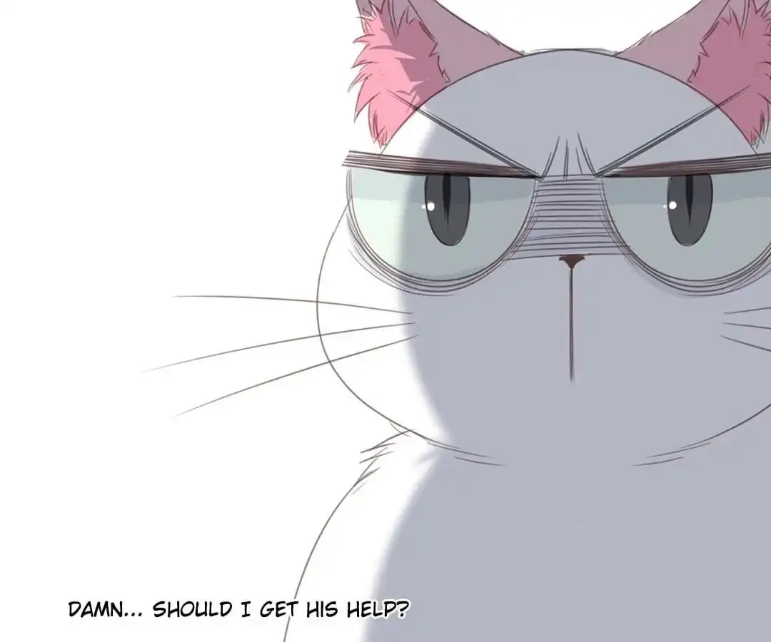 A Cat's World Chapter 13 page 31 - 
