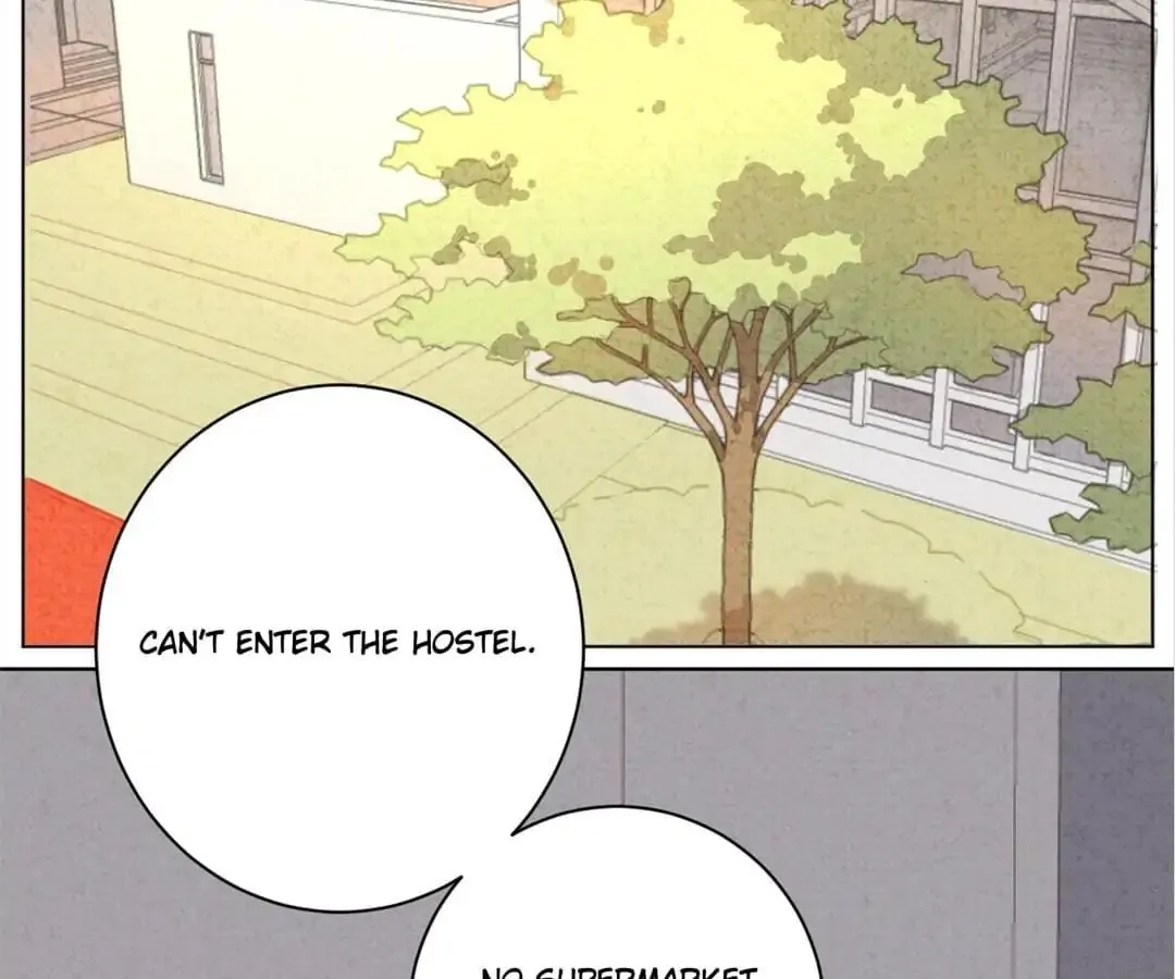 A Cat's World Chapter 13 page 53 - 