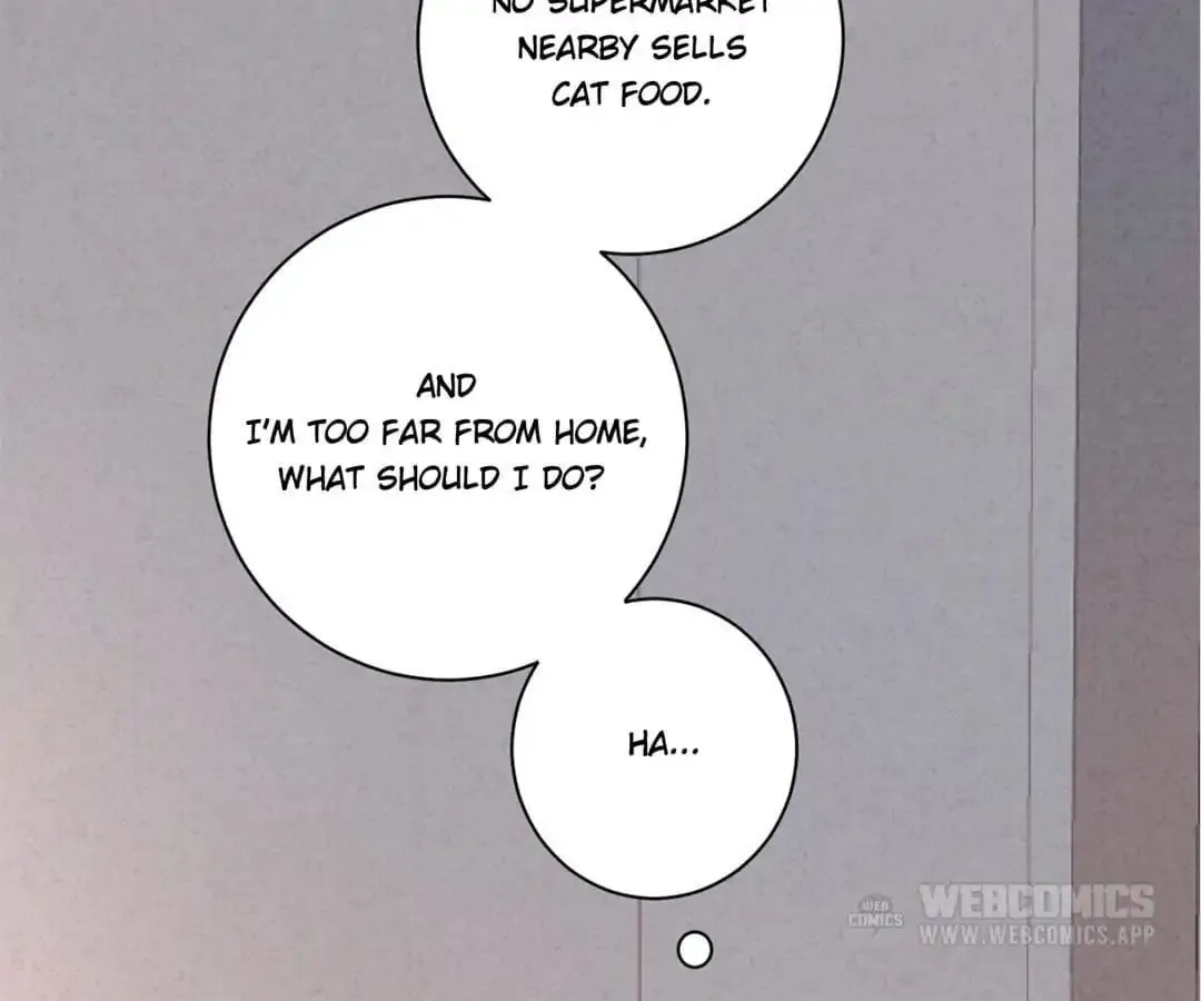 A Cat's World Chapter 13 page 54 - 