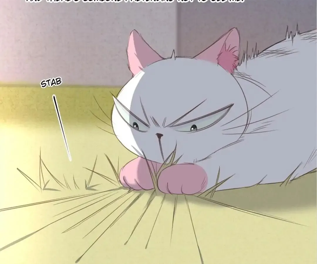 A Cat's World Chapter 13 page 56 - 