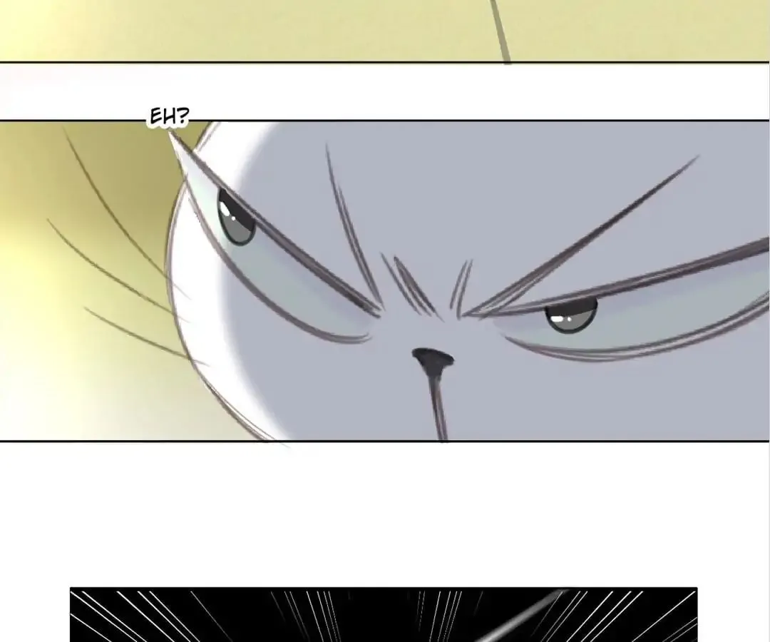 A Cat's World Chapter 13 page 57 - 