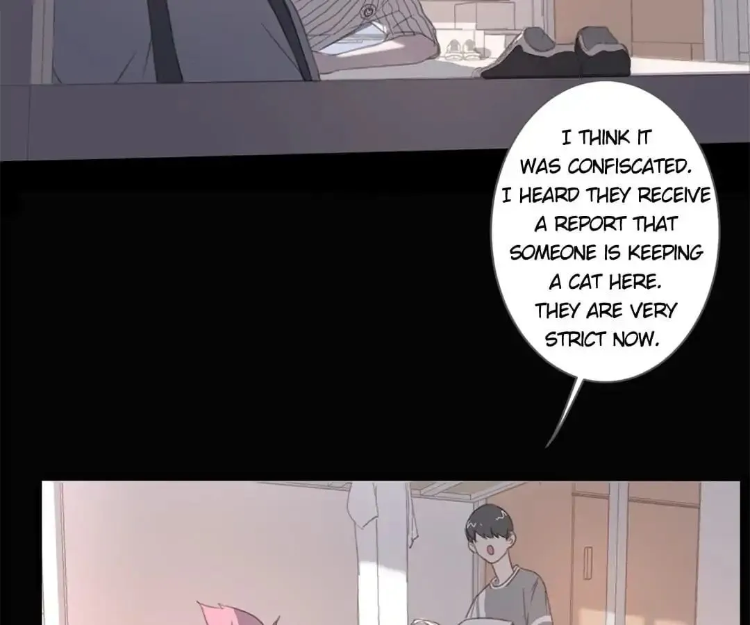 A Cat's World Chapter 13 page 7 - 